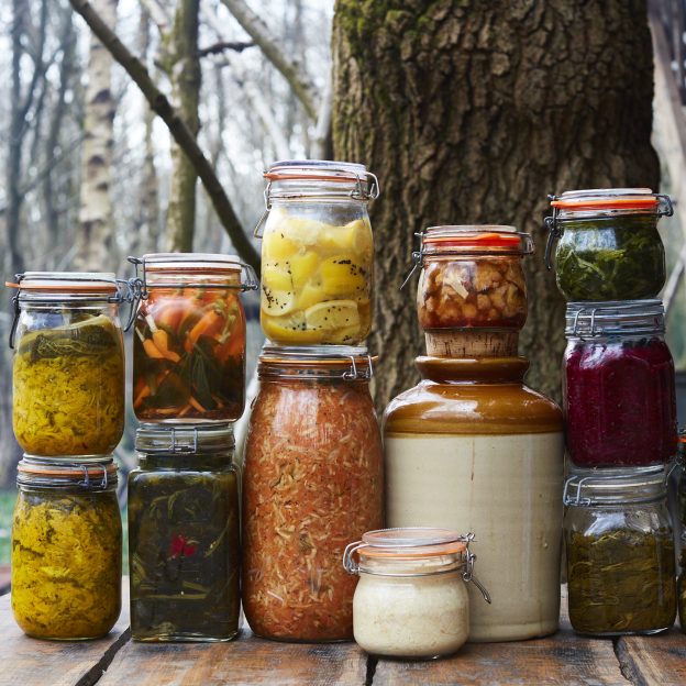 Wild Ferments & Pickles