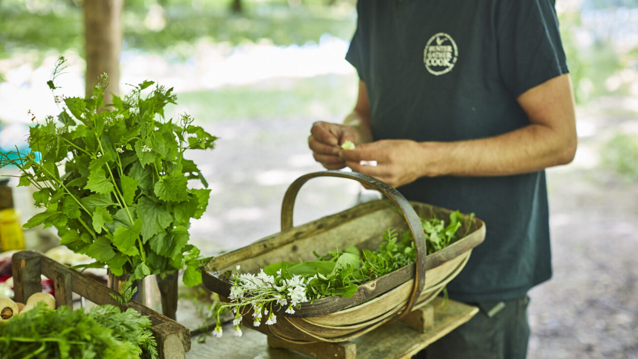 Hunter Gather Cook - Foraging + cooking with fire since 2011